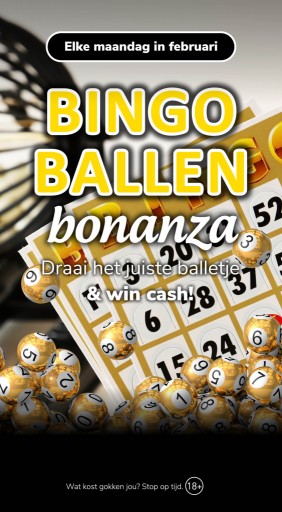 JC_Gilze-Rijen_WEB_Bingomolen Bonanza.jpg